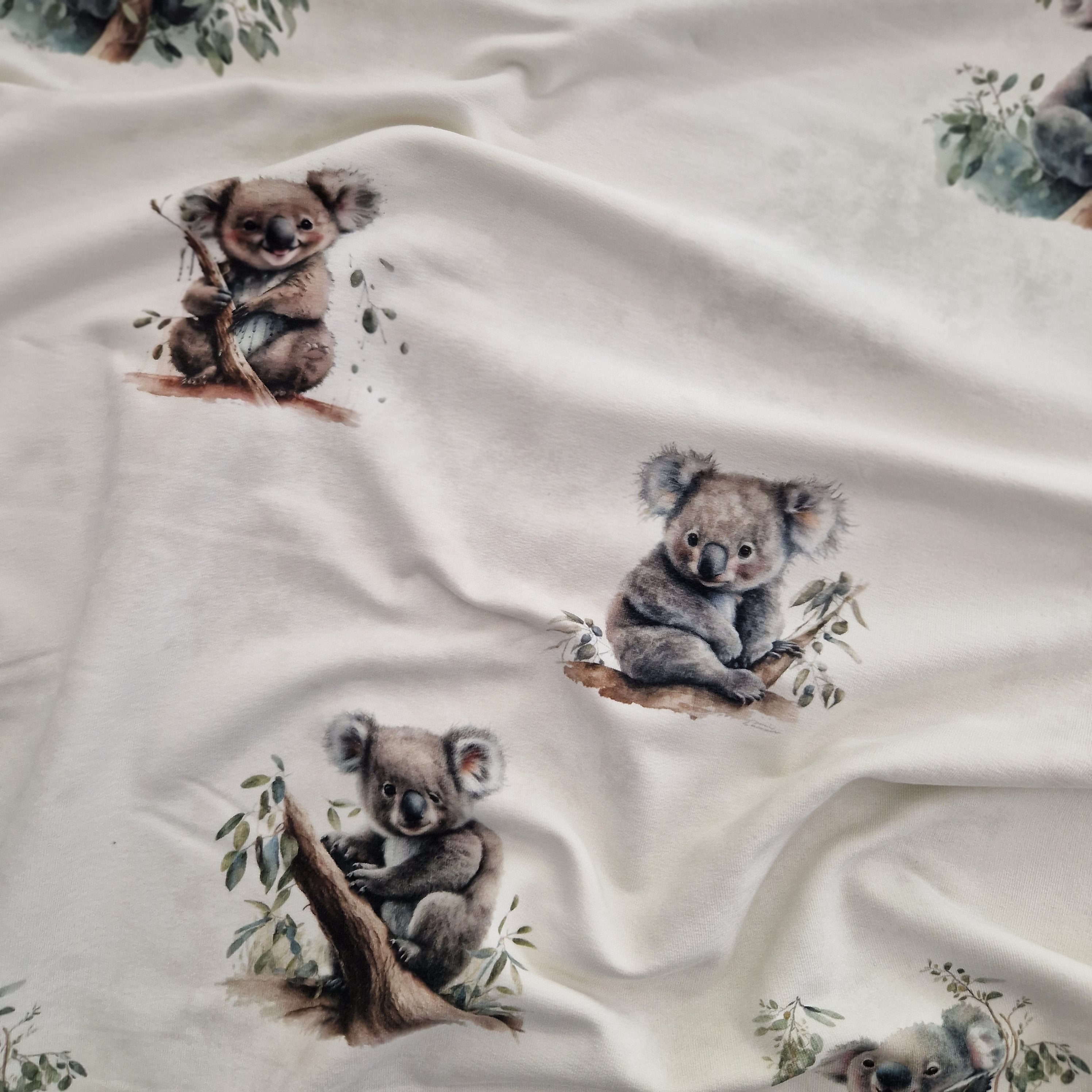 Koalas REST ca. 76cm x VB