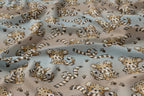 Leoparden Zeit (Katzengold)