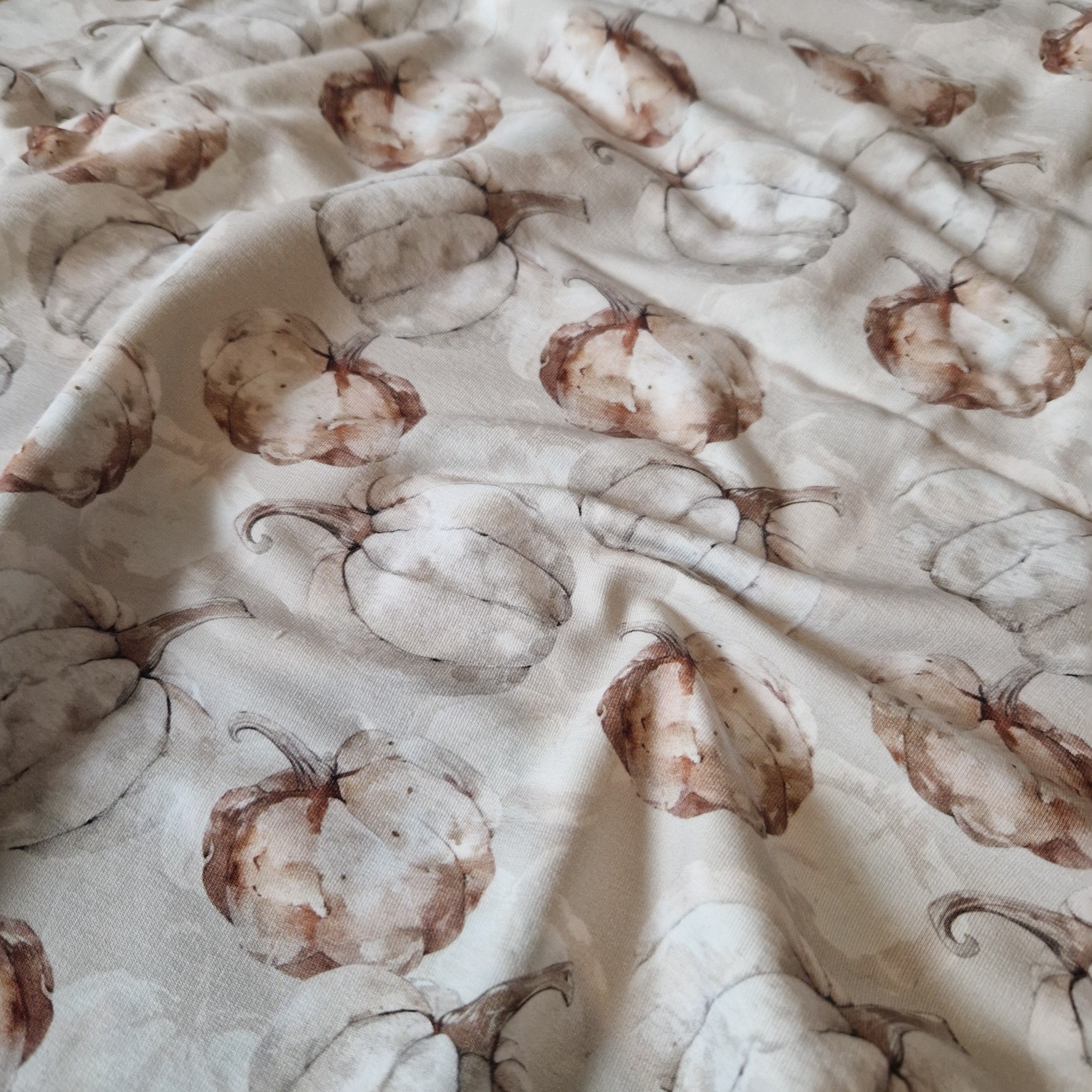 Kürbisse soft REST ca. 60cm x VB